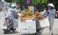 Người lao động nhọc nhằn mưu sinh dưới nắng nóng đầu hè