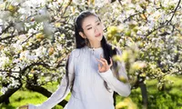 Dương Lệ Bình