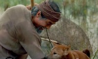 Tất tần tật về vai diễn đặc biệt của chú chó được quan tâm nhất trên màn ảnh rộng Tết 2021