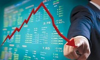 Nhiều cổ phiếu đua trần, chứng khoán vẫn giảm điểm