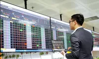 Chứng khoán đang chờ hé lộ thông tin gì tuần tới?