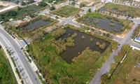 Doanh nghiệp trúng đấu giá đất ở Thủ Thiêm sẽ không được trả góp