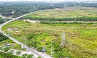 Hết tin &apos;đồn&apos; lên quận, giá đất 5 huyện ngoại thành TPHCM giảm mạnh 