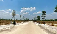 Thu hồi 1.500ha đất để thực hiện hàng chục dự án ở Bình Thuận