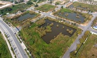 TPHCM nói về tiến độ đấu giá đất Thủ Thiêm