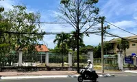 Gần 200 nhà đất công ở Bà Rịa - Vũng Tàu dôi dư sau sắp xếp