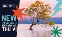 Tác giả Lê Chí Cường: Wanaka Tree - &quot;Nàng thơ&quot; cô đơn nhưng hạnh phúc