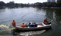 Quá hạn thanh tra, vẫn chưa rõ bao giờ có kết luận việc nhập chất làm sạch hồ