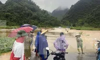 Thủ tướng: Chủ động ứng phó với mưa lớn, bảo đảm an toàn tính mạng người dân