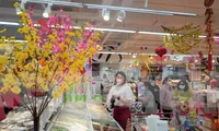 Thực phẩm, hàng tiêu dùng bắt đầu về nhiều phục vụ mùa cuối năm
