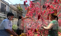 Công nhân ăn Tết xa quê: Nấu nồi thịt kho trứng đón ông bà