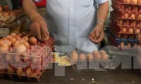 Trứng tăng giá cao gần gấp đôi