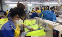 Thiếu vốn, doanh nghiệp xuất khẩu thoi thóp