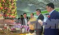Hơn 500 doanh nghiệp ngoại đăng ký mua hàng Việt