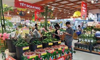 TPHCM: Lá xông, bánh ú nước tro chờ khách dịp Tết Đoan Ngọ