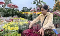 Chợ hoa Tết giá &apos;mềm&apos; hút khách có thu nhập thấp