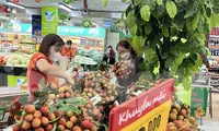 Vải thiều &apos;phủ đỏ&apos; từ chợ đến siêu thị TPHCM