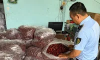 TPHCM: Phát hiện hàng tấn thực phẩm '3 không' chờ tiêu thụ