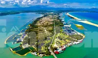 Cảnh đẹp hút hồn ở xứ &apos;Hoa vàng trên cỏ xanh&apos;