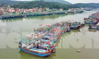 11 tỉnh miền Trung &apos;bắt tay&apos; quản lý tàu cá, truy xuất nguồn gốc hải sản