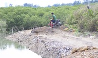 Người dân &apos;đứng ngồi không yên&apos; vì dự án cấp bách kiểu... rùa bò