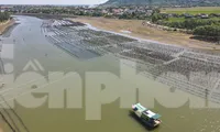 ‘Ma trận’ cọc tre, trụ bê tông giữa lòng sông ở Hà Tĩnh