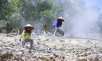 Công nhân 'đội nắng' hoàn thiện 2 tuyến chính gần 90km cao tốc qua Hà Tĩnh