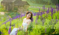 Cánh đồng hoa Nữ hoàng xanh như trời Âu giữa Hà Nội