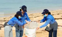 Tuổi trẻ Đoàn Khối các cơ quan T.Ư mang công trình, phần việc ra Bạch Long Vĩ