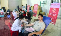 Đông đảo người dân Ninh Bình lan tỏa tinh thần hiến máu từ Chủ nhật Đỏ lần thứ XV
