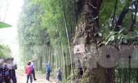 Sải bước ở Lai Châu: Lên bản &apos;suối có vàng&apos;