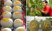 Đặc sản &apos;lá xếp siêu hoa’, dưa lưới khắc chữ tài lộc đắt hàng dịp Tết 