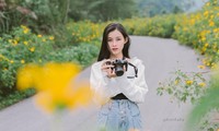 Giới trẻ &apos;checkin&apos; vườn hoa dã quỳ lớn nhất Thủ đô