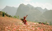&apos;Check-in&apos; làng cổ độc nhất vô nhị tại Hà Giang