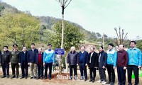 T.Ư Đoàn phát động Tết trồng cây Xuân Quý Mão, năm 2023
