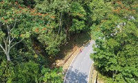 Clip cung đường chạy Tiền Phong Marathon 2023