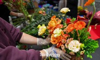 Hoa ngoại nhập, gói cỡ lớn, tạo hình đẹp... sẵn sàng phục vụ khách dịp 8/3