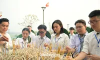 70 đại biểu sinh viên dâng hương các Anh hùng liệt sĩ tại Chiến trường Điện Biên Phủ
