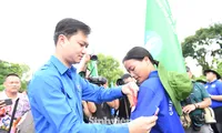 286 trường đại học, cao đẳng thành lập đội hình sinh viên tình nguyện hỗ trợ hành chính công