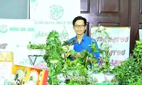 Hành trình trở về quê hương và khởi nghiệp từ hoa cẩm cù