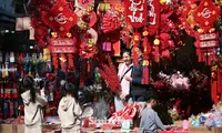 Người trẻ Hà Nội háo hức xuống phố đón Tết, mang mùa xuân về nhà