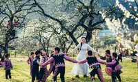 Những ngày Mộc Châu &apos;trắng trời&apos; hoa mận