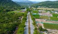 Tin mới về chủ đầu tư 2 nhà máy điện hạt nhân Ninh Thuận