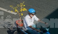 30 Tết: &apos;Nhiều khách chỉ hỏi rồi đi, mong bán được hoa kiếm tiền tiêu Tết nhưng khó quá&apos;