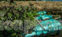 Độc đáo &apos;trang trại&apos; rau sạch trên bè làm từ rác thải nhựa