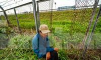 Hiện trạng bị cắt phá tan hoang ở hàng rào an toàn cao tốc TPHCM-Trung Lương