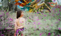 Ngắm loài hoa cùng tên với tiểu thuyết kiếm hiệp của nhà văn Kim Dung