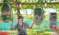 Du khách thích thú check-in với bí đao khổng lồ 