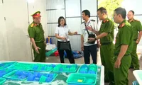 Khánh Hòa tiêu hủy 850.000 con tôm hùm giống nhập lậu, trị giá 34 tỷ đồng