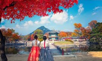 Thông tin miễn visa Hàn Quốc cho khách Việt